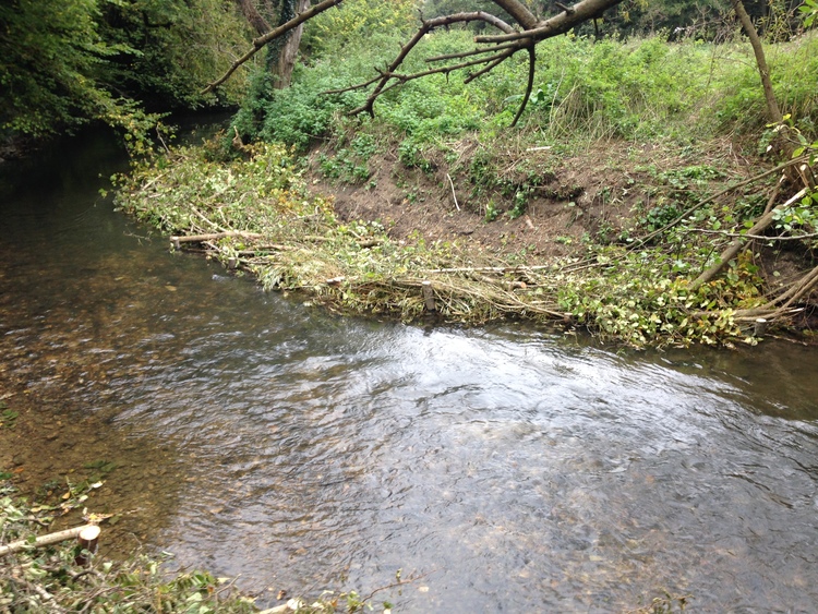 River habitat enhancement 