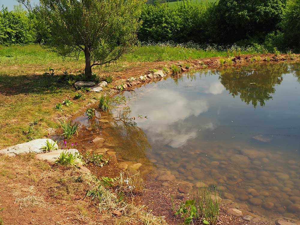 Large pond