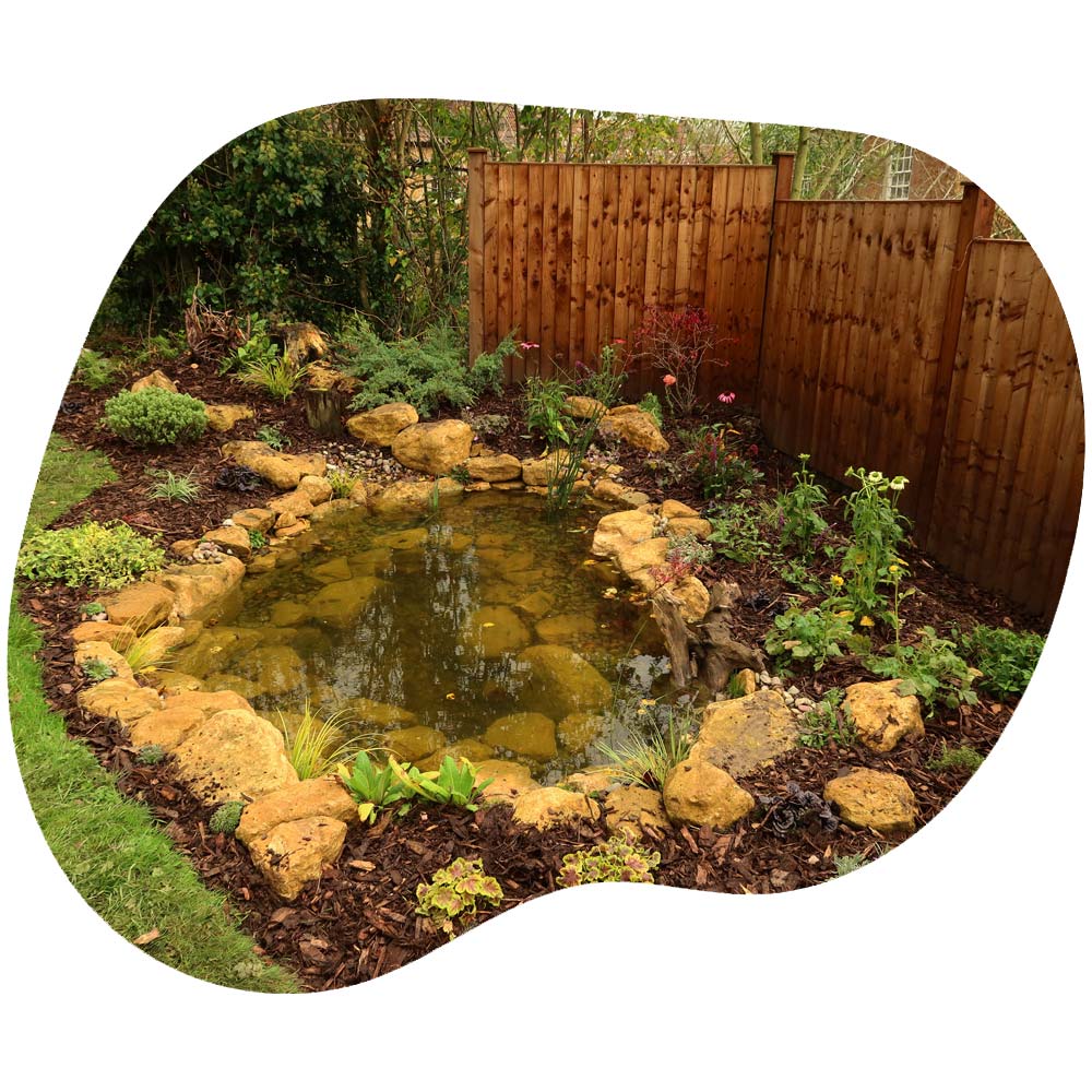 A professionally crafted natural pond